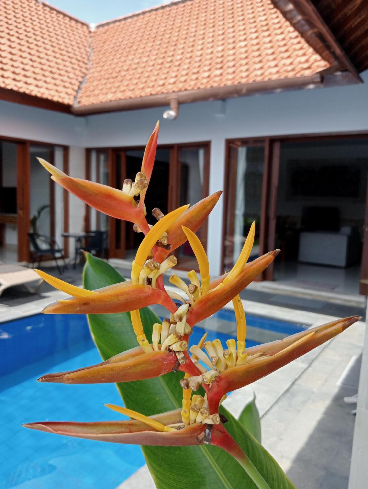 Pondok Indah Villa Ujung Экстерьер фото